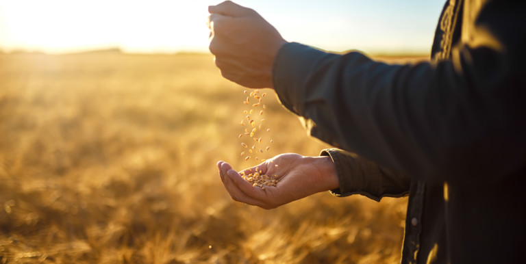 Ansvarsfullt företagande